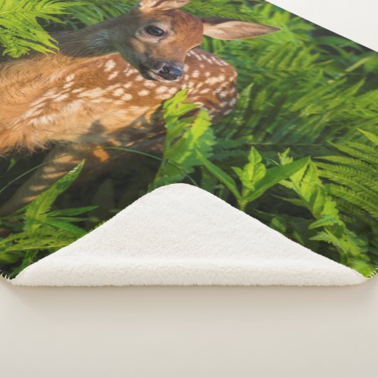 Witstaartdeer Fawn | Minnesota Sherpa Deken (3/4)