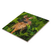 Witstaartdeer Fawn | Minnesota Tegeltje (Zijkant)