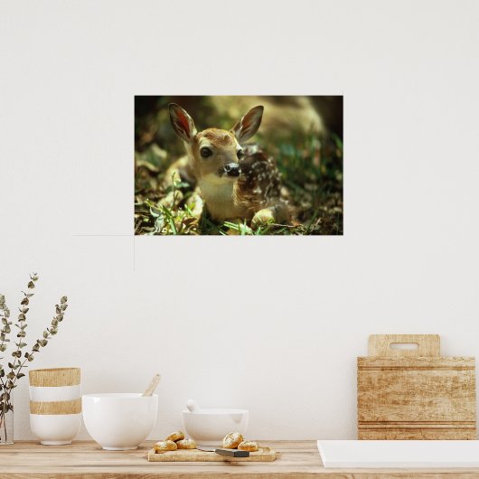 Witstaartdeer Fawn Poster (Keuken)