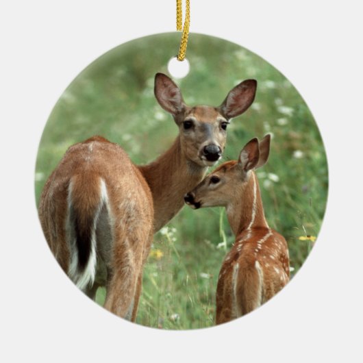 Witstaartdeer met haar eigen bruid keramisch ornament (Voorkant)