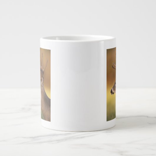 Witstaartdeer, Odocoileus virginianus, Grote Koffiekop (Voorkant)