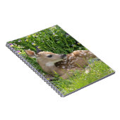 Witstaartdeer (Odocoileus virginianus) Notitieboek (Rechterzijde)