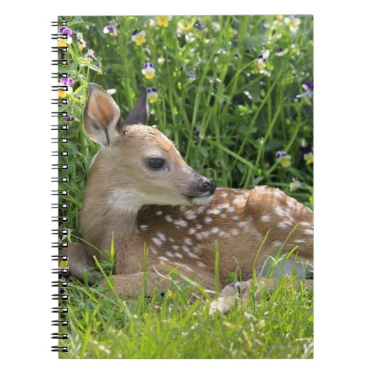 Witstaartdeer (Odocoileus virginianus) Notitieboek (Voorkant)