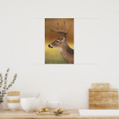 Witstaartdeer, Odocoileus virginianus, Poster (Keuken)