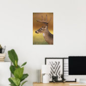 Witstaartdeer, Odocoileus virginianus, Poster (Thuiskantoor)