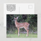 Witstaarten Briefkaart (Voorkant / Achterkant)