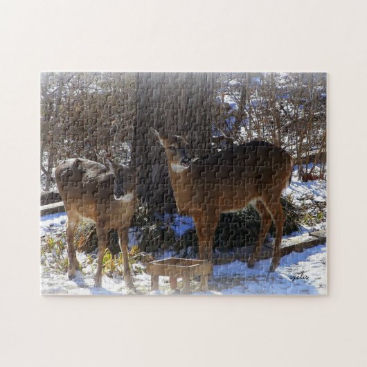 Witstaarthert 11x14 Foto Puzzel met Geschenkdoos Legpuzzel (Horizontaal)