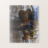 Witstaarthert 11x14 Foto Puzzel met Geschenkdoos Legpuzzel (Verticaal)