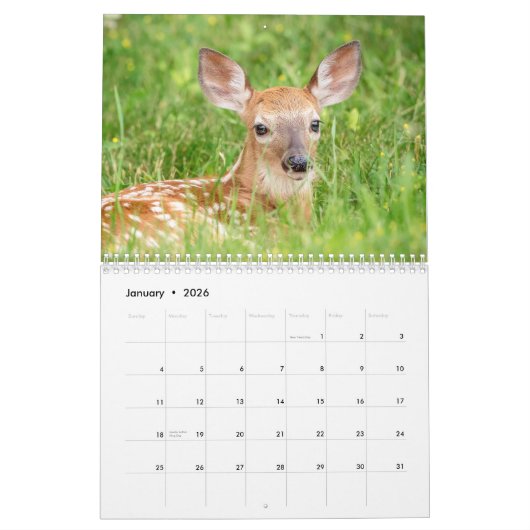 Witstaarthert 2026 kalender (Jan 2026)