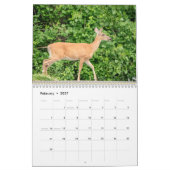 Witstaarthert 2026 kalender (Feb 2027)