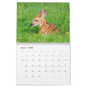 Witstaarthert 2026 kalender (Mar 2026)