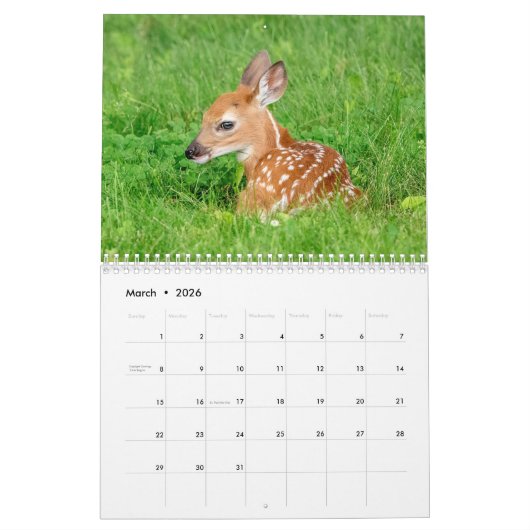 Witstaarthert 2026 kalender (Mar 2026)