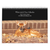 Witstaarthert 2026 kalender (Hoes)