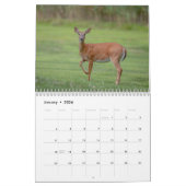 Witstaarthert 2026 kalender (Jan 2026)