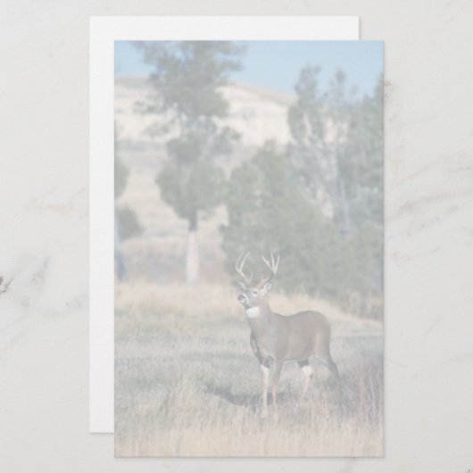 Witstaarthert Briefpapier (Voorkant / Achterkant)