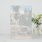 Witstaarthert Briefpapier (Staand voorkant)