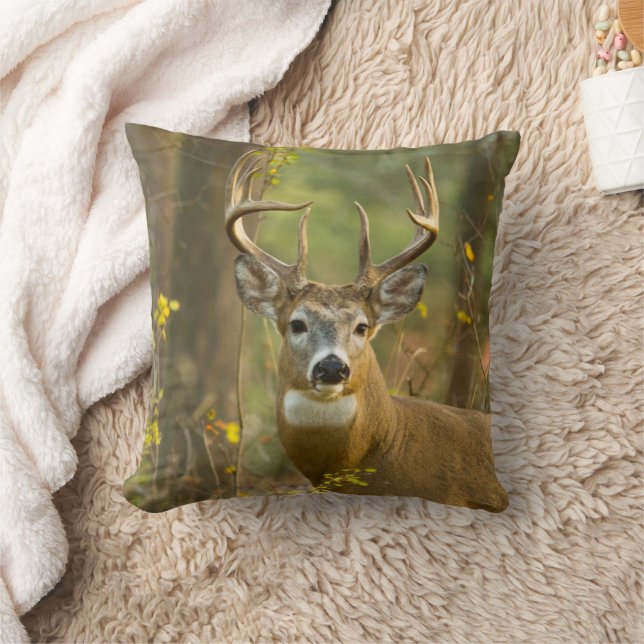 Witstaarthert Buck | Whitefish, Montana Kussen (Deken)