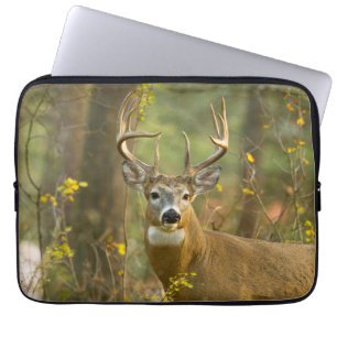 Witstaarthert Buck   Whitefish, Montana Laptop Sleeve