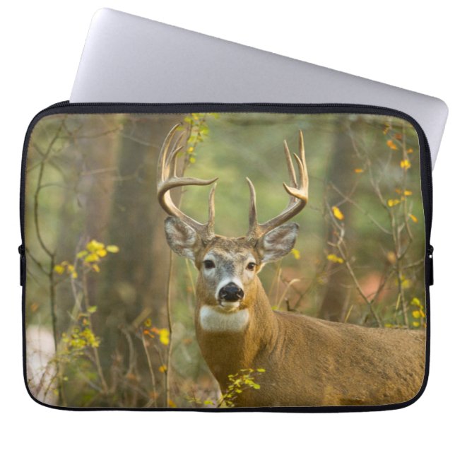 Witstaarthert Buck | Whitefish, Montana Laptop Sleeve (Voorkant)