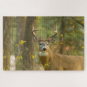 Witstaarthert Buck   Whitefish, Montana Legpuzzel