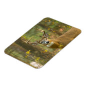 Witstaarthert Buck | Whitefish, Montana Magneet (Linkerzijde)