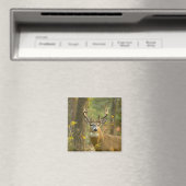 Witstaarthert Buck | Whitefish, Montana Magneet (Insitu (Vaatwasser))