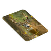 Witstaarthert Buck | Whitefish, Montana Magneet (Rechterzijde)