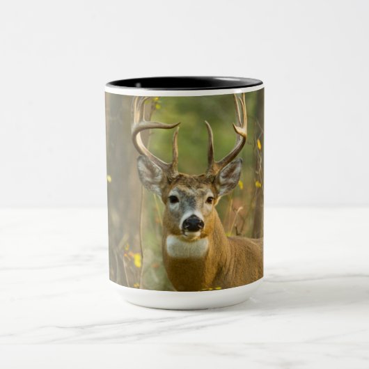 Witstaarthert Buck | Whitefish, Montana Mok (Midden)