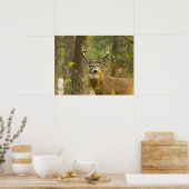 Witstaarthert Buck | Whitefish, Montana Poster (Keuken)