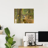 Witstaarthert Buck | Whitefish, Montana Poster (Thuiskantoor)