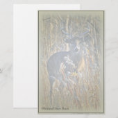 Witstaarthert Buk Stationery Briefpapier (Voorkant / Achterkant)