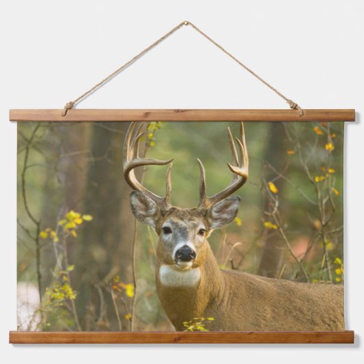 Witstaarthert Buk | Whitefish, Montana Hangend Wandkleed (Voorkant)