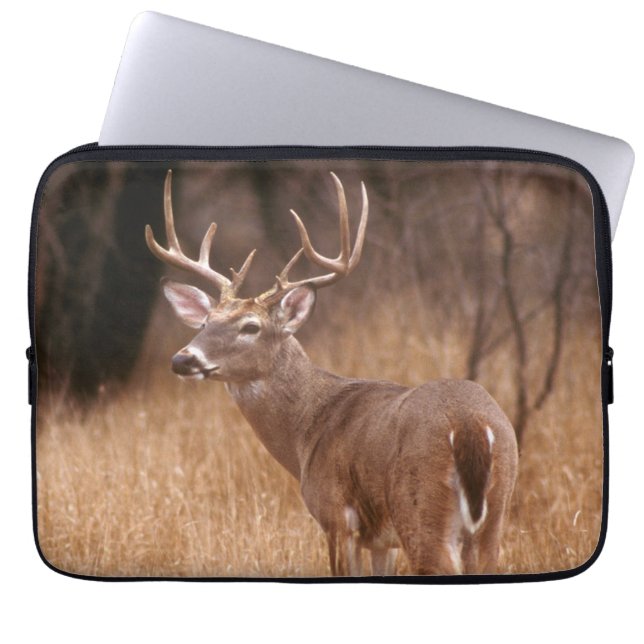Witstaarthert |  Choke Canyon State Park, TX Laptop Sleeve (Voorkant)