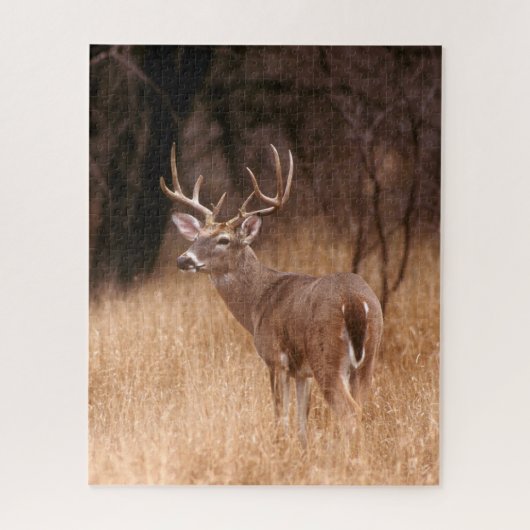 Witstaarthert |  Choke Canyon State Park, TX Legpuzzel (Verticaal)