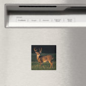 Witstaarthert | Choke Canyon State Park, TX Magneet (Insitu (Vaatwasser))