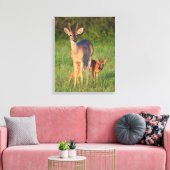 Witstaarthert | Grasachtige Habitat Canvas Afdruk (Insitu (Woonkamer))