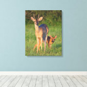 Witstaarthert | Grasachtige Habitat Canvas Afdruk (Insitu (Houten vloer))