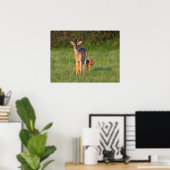 Witstaarthert | Grasachtige Habitat Poster (Thuiskantoor)