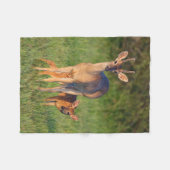 Witstaarthert | Grasrijke Habitat Fleece Deken (Voorkant (Horizontaal))