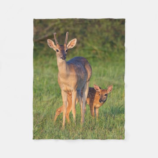 Witstaarthert | Grasrijke Habitat Fleece Deken (Voorkant)