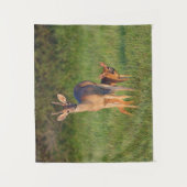 Witstaarthert | Grasrijke Habitat Wandkleed (Voorkant)
