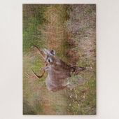 Witstaarthert herfst in Texas Legpuzzel (Verticaal)