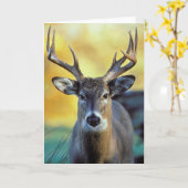 Witstaarthert | Herfst Kaart (Gele Bloem)