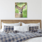 Witstaarthert | Hill Country, Texas Canvas Afdruk (Insitu (Slaapkamer))
