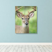 Witstaarthert | Hill Country, Texas Canvas Afdruk (Insitu (Houten vloer))