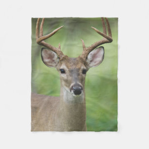 Witstaarthert Hill Country, Texas Fleece Deken