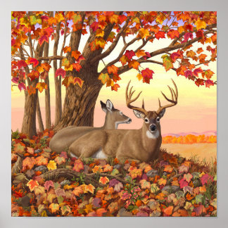 Witstaarthert in de herfst Nieuwe-Engeland herfstk Poster