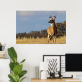 Witstaarthert ingelijste print (Thuiskantoor)