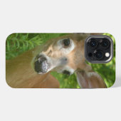 Witstaarthert  iPhone hoesje (Achterkant horizontaal)