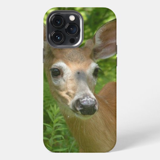 Witstaarthert  iPhone hoesje (Achterkant)